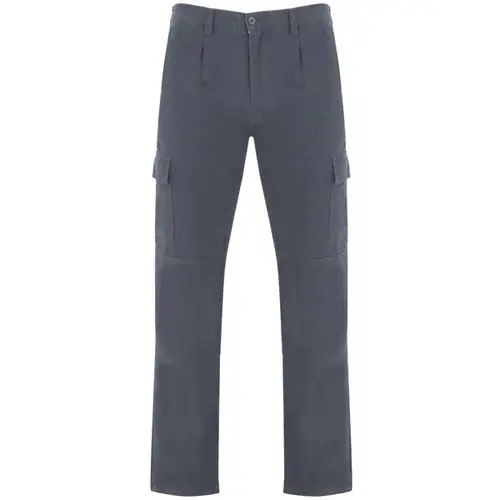 PANTALÓN LARGO LABORAL SAFETY REF PA5096 ROLY - Back Plomo