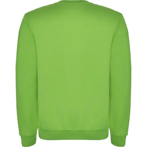 SUDADERA EN DISEÑO CLÁSICO CLASICA REF SU1070 ROLY - Back Verde Oasis