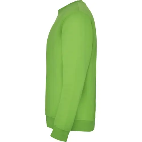 SUDADERA EN DISEÑO CLÁSICO CLASICA REF SU1070 ROLY - Left Verde Oasis