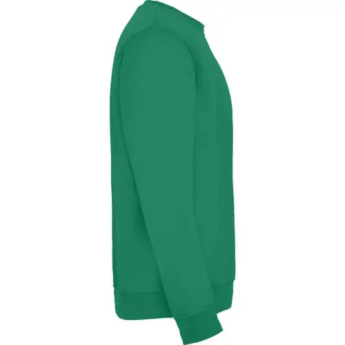 SUDADERA EN DISEÑO CLÁSICO CLASICA REF SU1070 ROLY - Right Verde Kelly
