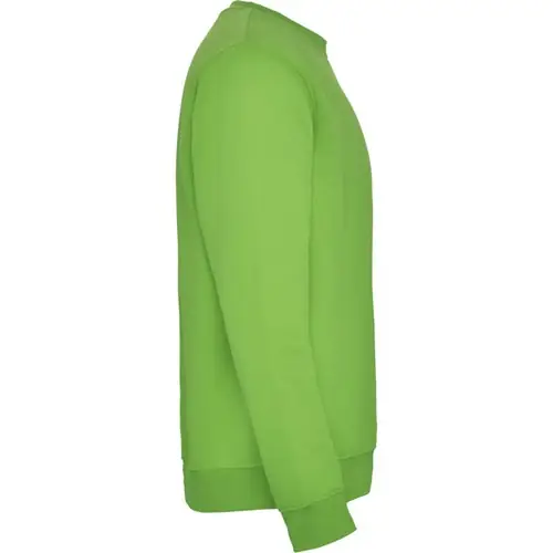 SUDADERA EN DISEÑO CLÁSICO CLASICA REF SU1070 ROLY - Right Verde Oasis