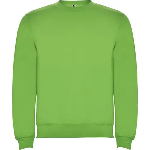 SUDADERA EN DISEÑO CLÁSICO CLASICA REF SU1070 ROLY - Verde Oasis